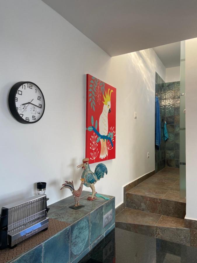 Villa Oasis La Paz - Acaymo Loft - Adults Only - Puerto de la Cruz Kültér fotó