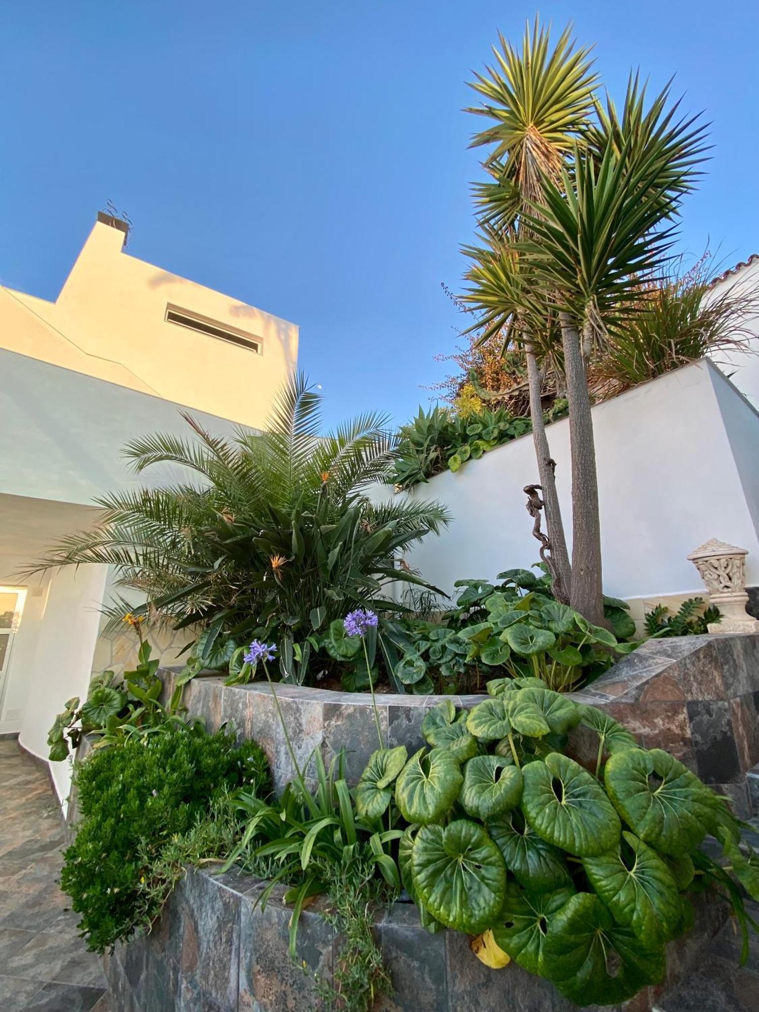 Villa Oasis La Paz - Acaymo Loft - Adults Only - Puerto de la Cruz Kültér fotó